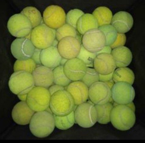 Used tennis deals balls for dogs