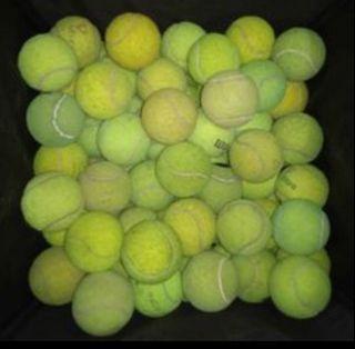Used Tennis balls for Dogs