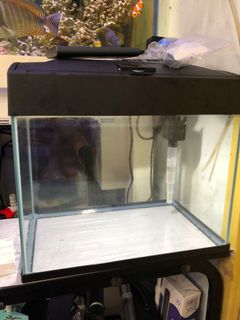 （分類：）位於 。 由 laplapyiu 提交（商品編號 1163268241，圖片 1）。簡介： 。