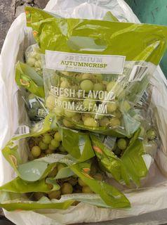 Australia Premium Autumn Crisp Green Seedless Grapes 9kls 10pks