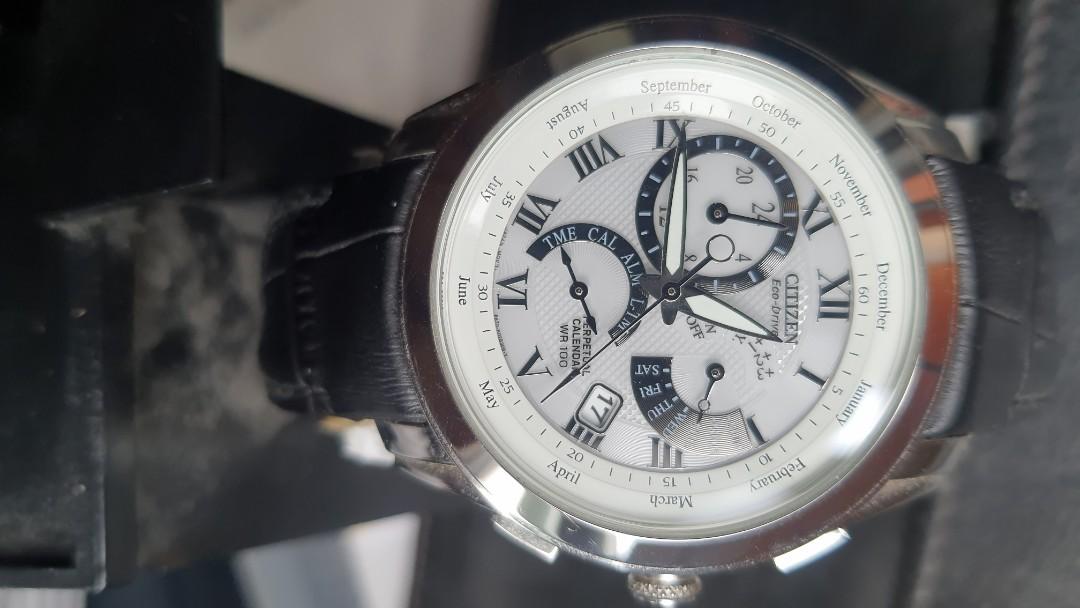 Citizen eco drive perpetual hot sale calendar wr100