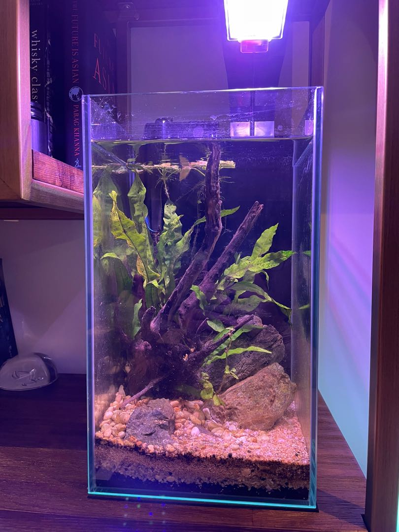 Alien fish sale tank decorations