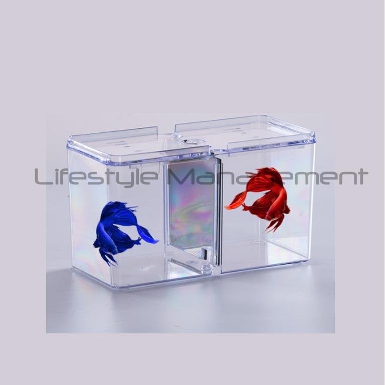 Fish Tank Breeding Separator Fighting Fish Isolation Separation Divider Box  Aquarium, Pet Supplies, Homes & Other Pet Accessories on Carousell