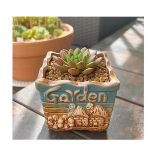 (Category: ) located in . Submitted by sugarsgarden (Listing ID 1163201808, Image 1). Description: .