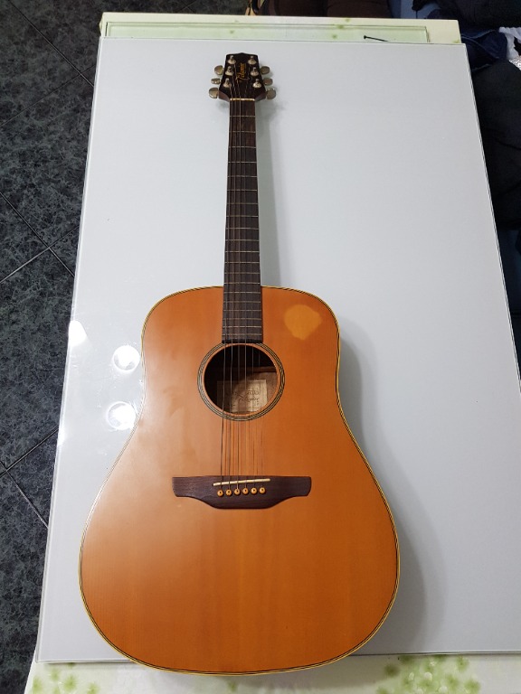 Takamine eg 10 sale