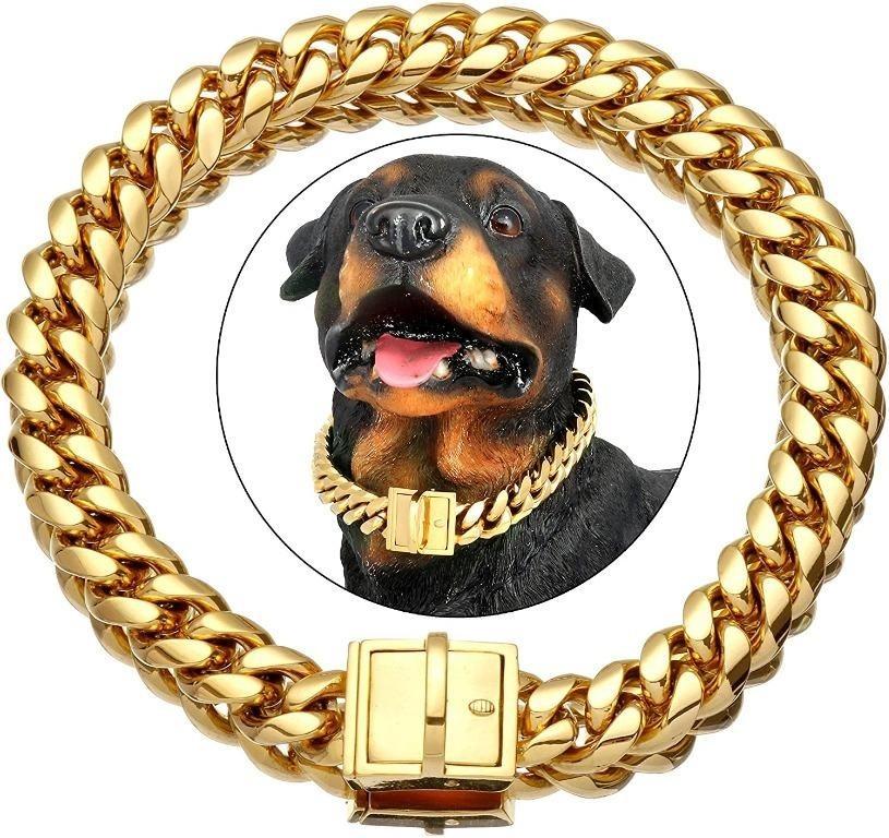 Gold chain collar dog deals