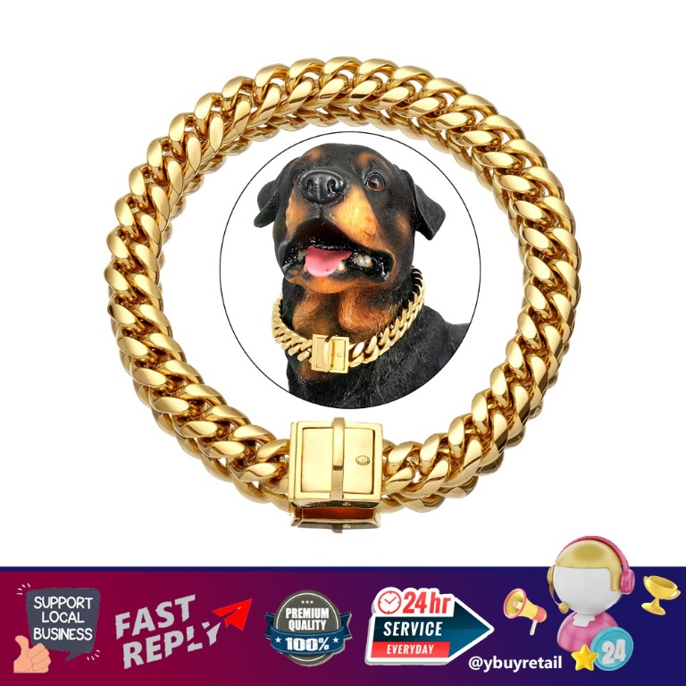 Gold plated hot sale dog chain