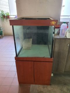 (Category: ) located in . Submitted by kentan76 (Listing ID 1163057448, Image 1). Description: .