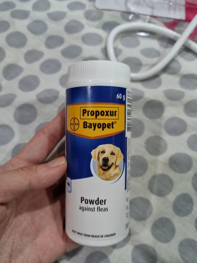 Bayopet powder against fleas Pet Supplies Homes Other Pet