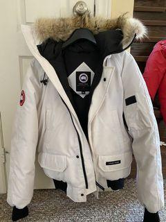 Canada goose