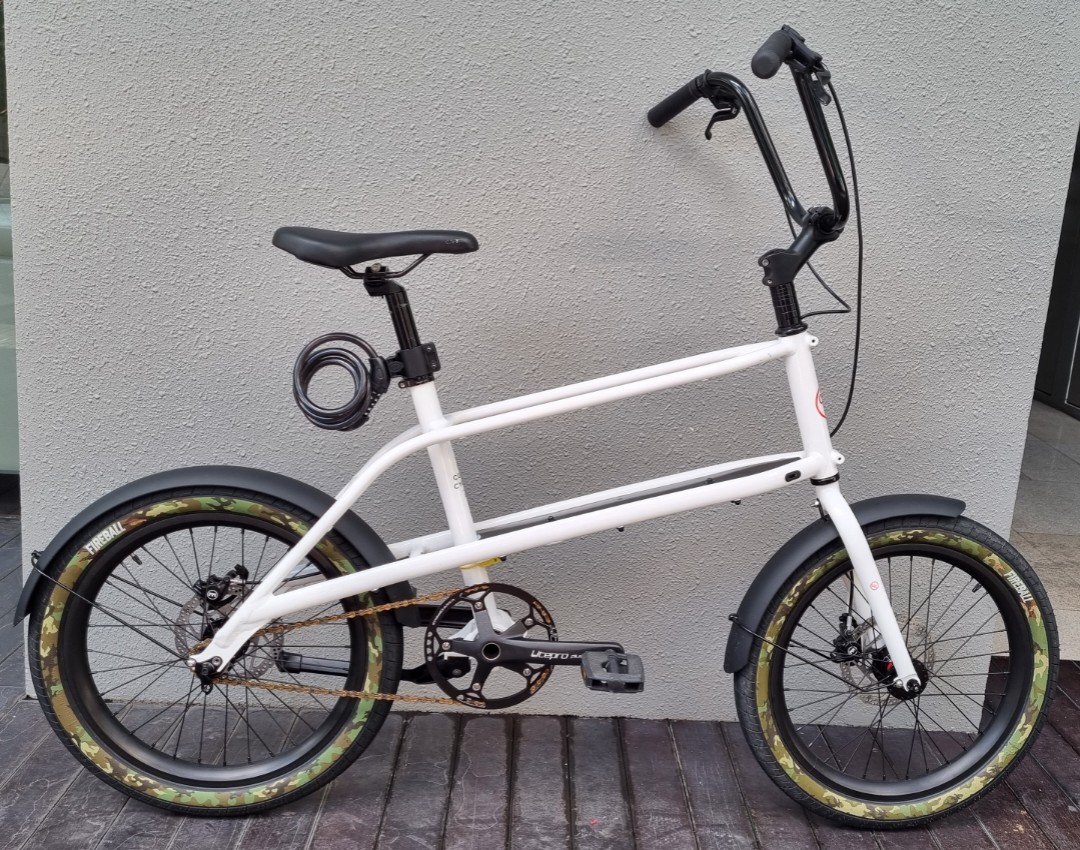 Quinns cycle 2025