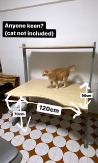 (Category: ) located in . Submitted by therealcatthew (Listing ID 1163172252, Image 1). Description: .