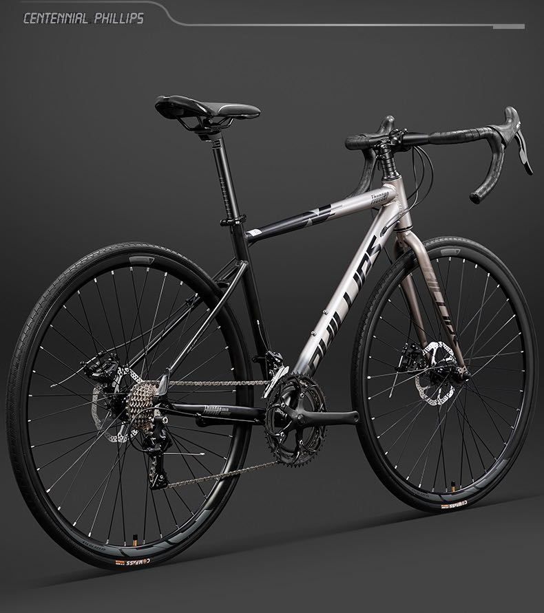 Phillips x raleigh Thunder roadbike 