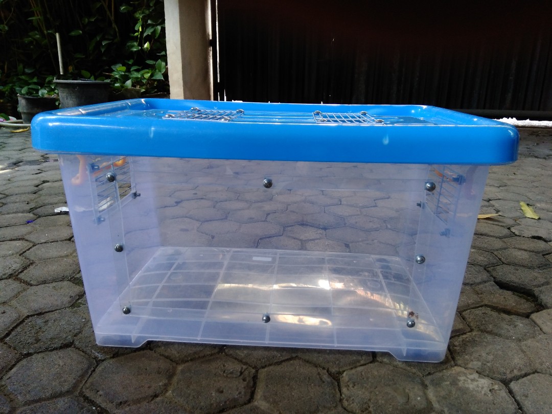 Diy sangkar hamster clearance