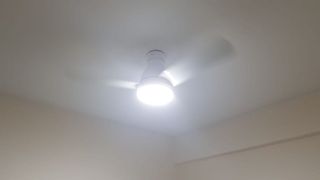 (Category: ) located in . Submitted by nikhil300 (Listing ID 1163432616, Image 1). Description: .
