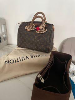 Louis Vuitton Speedy Custom Made Bag Organiser in LV Red, Luxury, Bags &  Wallets on Carousell