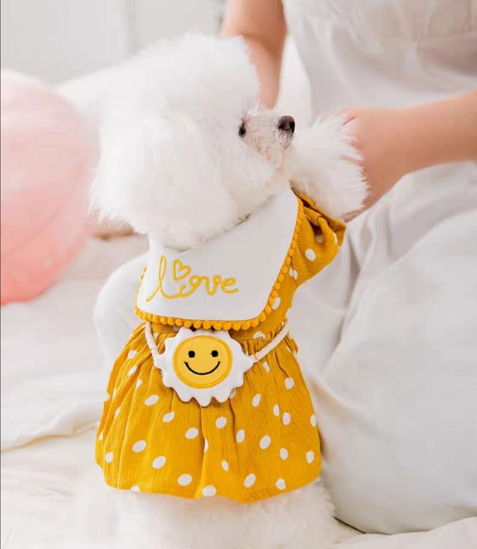 Cute yellow clothes new arrivals