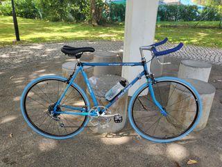 Vintage Road Bike - Raleigh Team Pro 