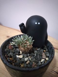 （分類：）位於 。 由 akirakoo 提交（商品編號 1158694281，圖片 1）。簡介： 。