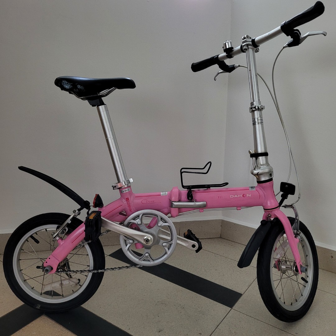 double lock bike