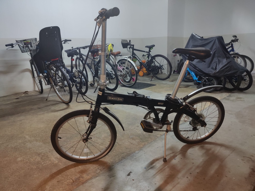 Dahon store eco c6