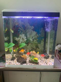 (Category: ) located in . Submitted by sosolol123 (Listing ID 1158576397, Image 1). Description: .