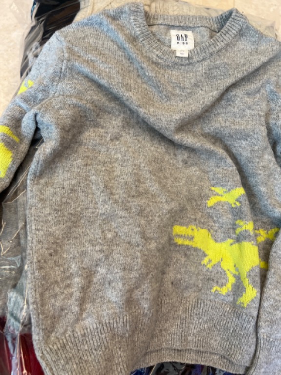 Gap cheap dinosaur sweater