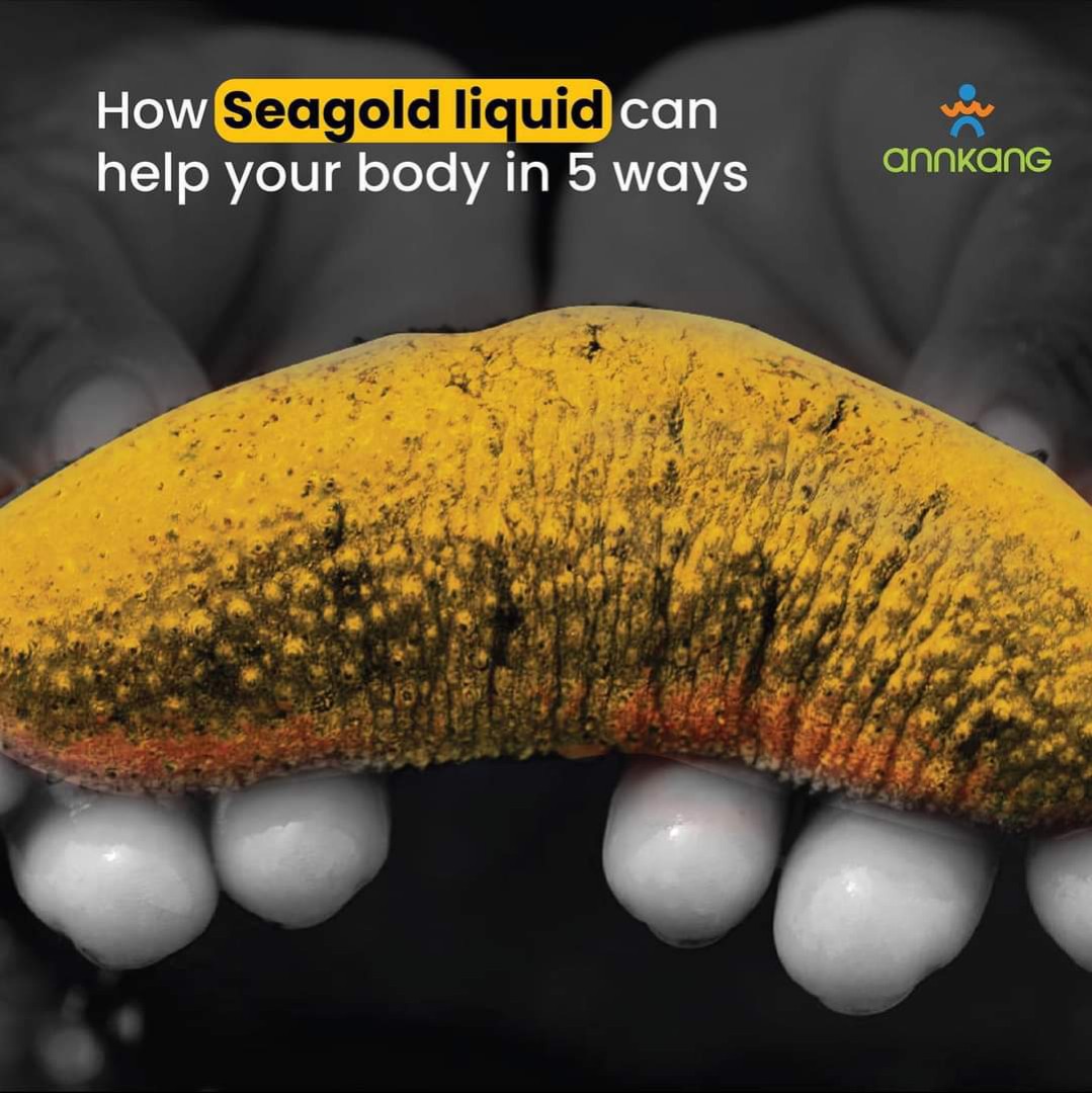 Golden Sea Cucumber, Health & Nutrition, Health Supplements, Vitamins