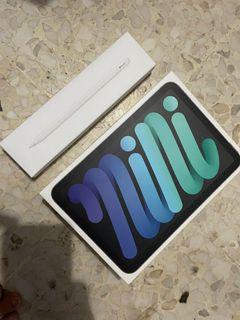 iPad Mini 6th Gen 256 GB Cellular come with Apple Pencil Gen 2