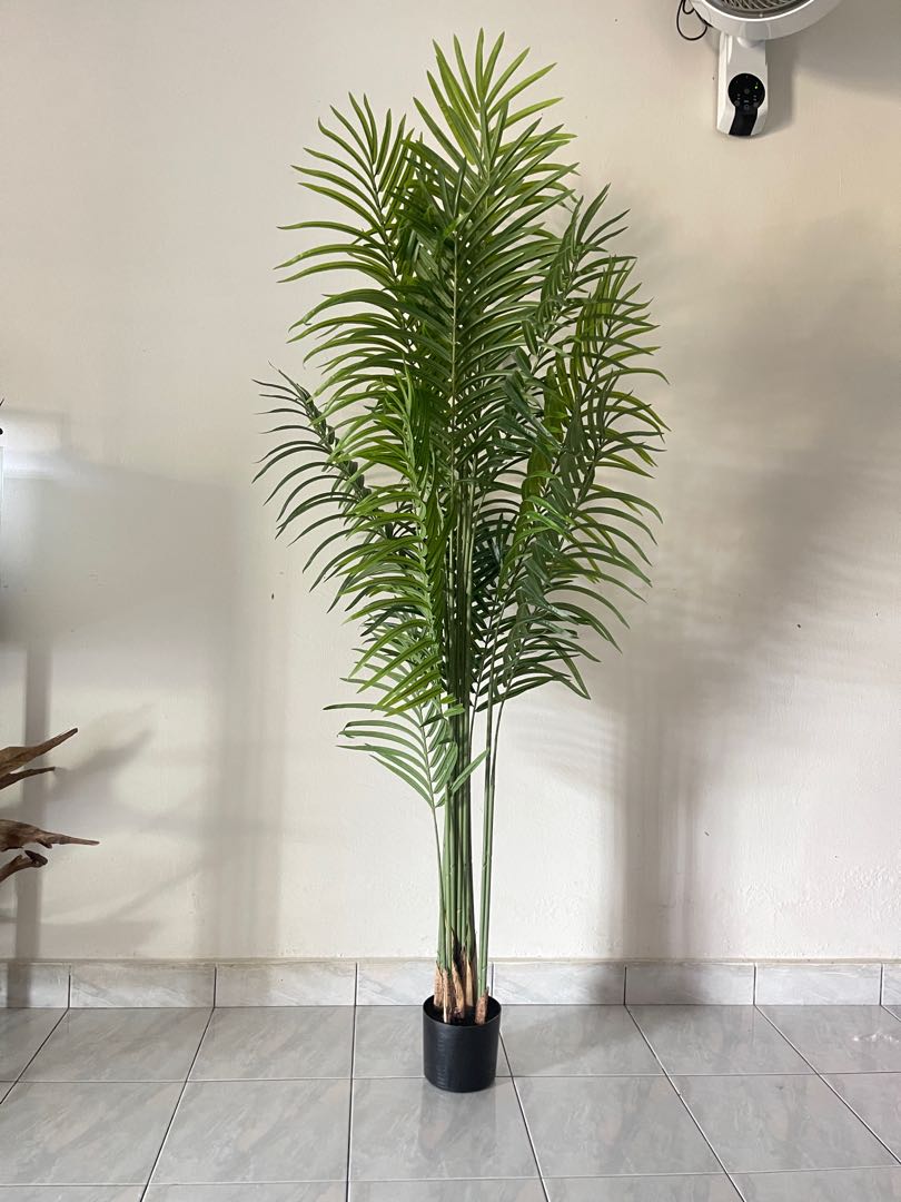 Palm Tree, Furniture & Home Living, Home Decor, Artificial Plants