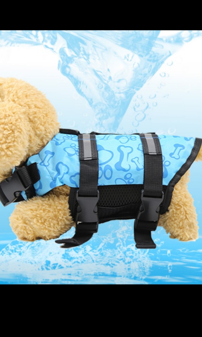 life jacket for tiny dog