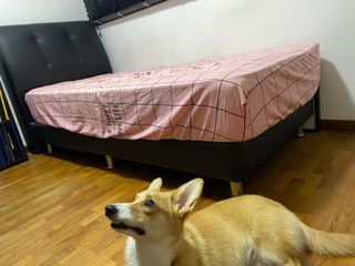 (Category: ) located in . Submitted by jadeb1s1 (Listing ID 1158545319, Image 1). Description: .
