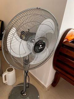 (Category: ) located in . Submitted by smiru (Listing ID 1158607231, Image 1). Description: .