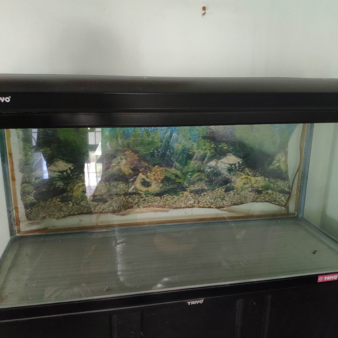 Taiyo aquarium tank store