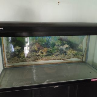 (Category: ) located in . Submitted by hokei87 (Listing ID 1158654293, Image 1). Description: .