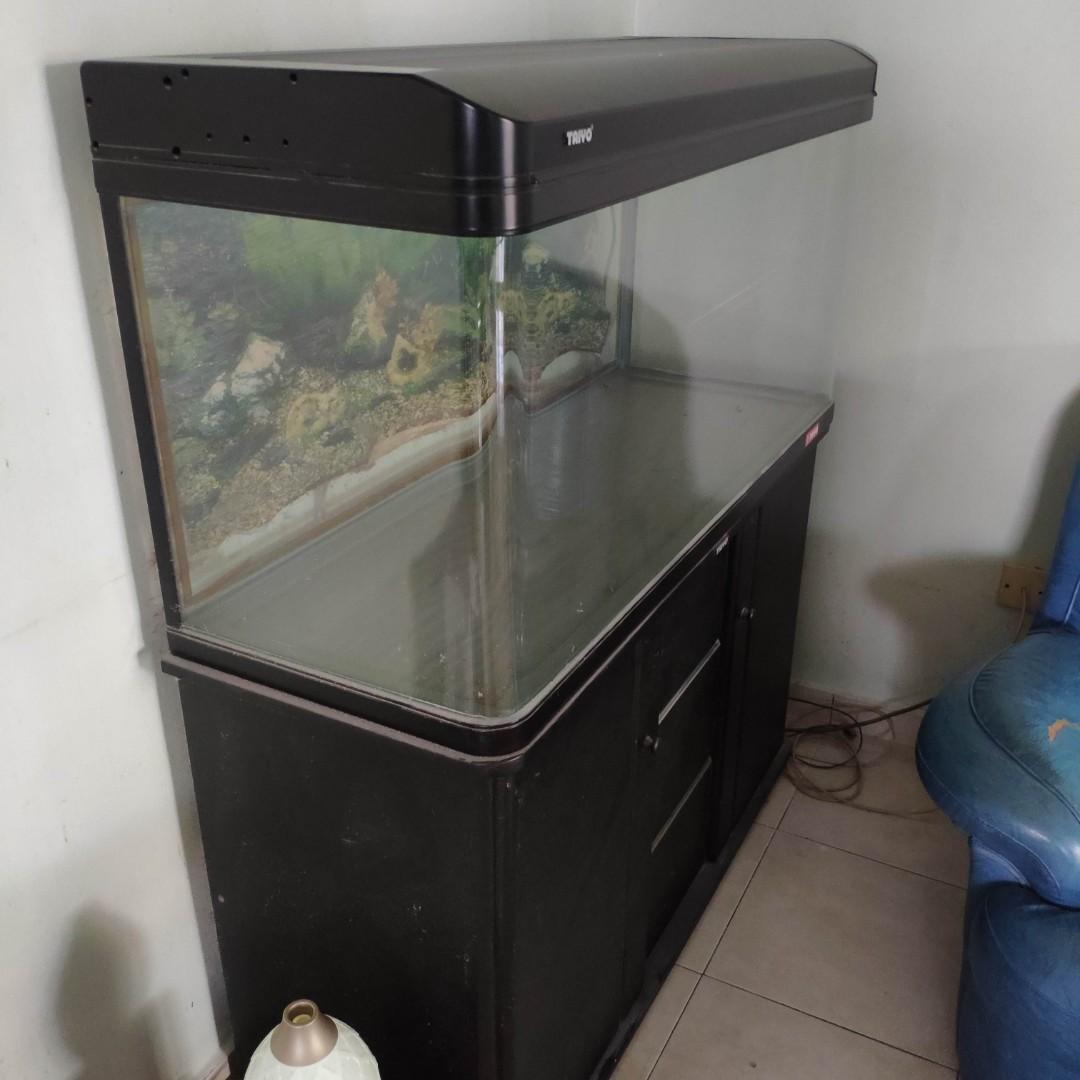 Taiyo top aquarium tank