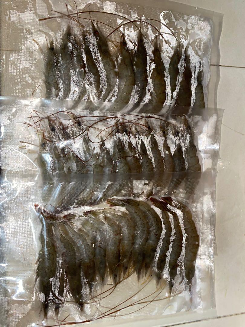 Udang pasir kelong sotong squid prawn bait for fishing wild caught fresh  frozen vacumm sealed for fishing baiting surf rod casting, Sports  Equipment, Fishing on Carousell