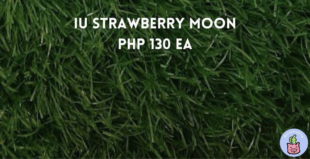 WTS LFB IU strawberry moon pc (Category: K-Wave Merchandise) located in Mandaluyong City. Submitted by slashedtag (Listing ID 1158692352, Image 2). Description: IU strawberry moon pc 130 ea + pf + lsf on hand ✨MUST GET NON-BERET PCS TO GET BERET PCS✨ ✨CAN LOWER PRICE IF GETTING SET✨ 🌐 : slashedtag.carrd.co 🚚 : ggx / sdd / sco (at your own risk) 💸 : gcash 📍 : antipolo/manda 🏷 wts lfb ph photocard iu Lee Ji-eun.