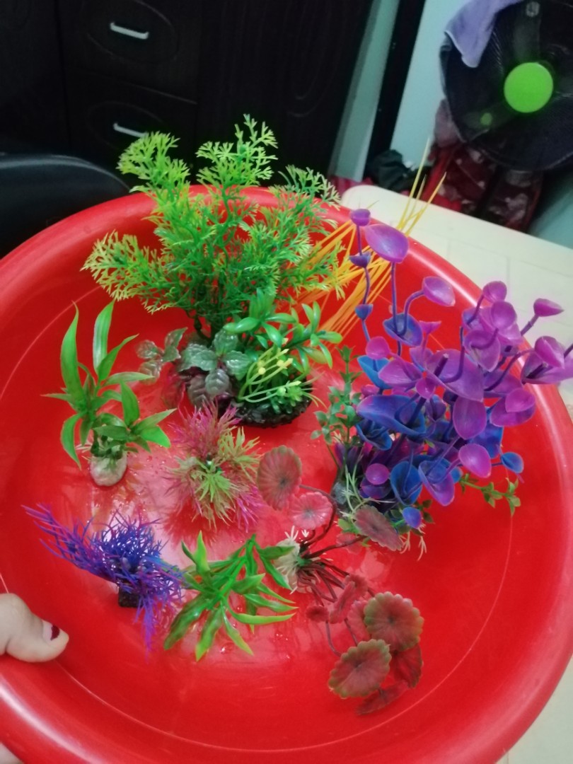 ARTIFICIAL AQUARIUM PLANTS, Pet Supplies, Homes & Other Pet Accessories