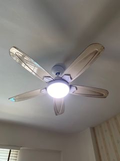 (Category: ) located in . Submitted by nikhil300 (Listing ID 1163656807, Image 1). Description: .