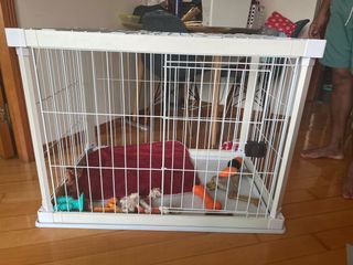 （分類：）位於 。 由 emem_t 提交（商品編號 1163580108，圖片 1）。簡介： 。