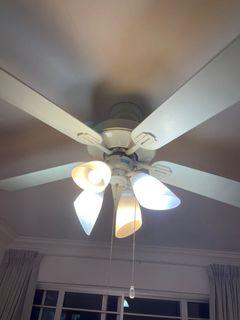 Big Ceiling Fan with lights