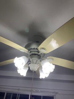 Fanco ceiling fan with lights