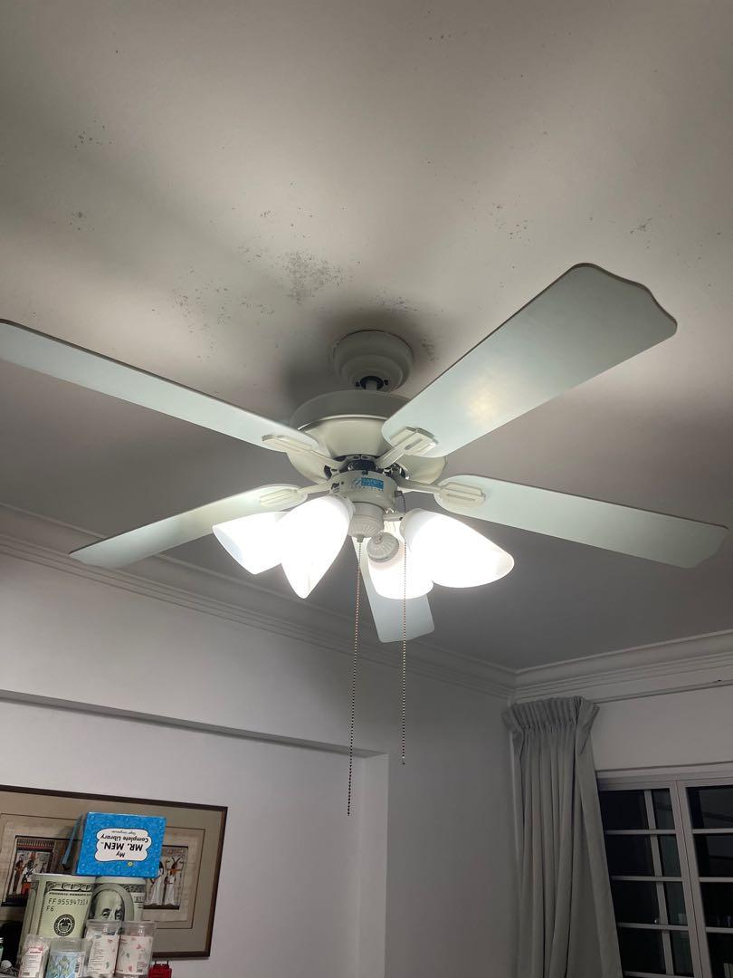 Fanco ceiling fan with lights, Furniture & Home Living, Lighting & Fans