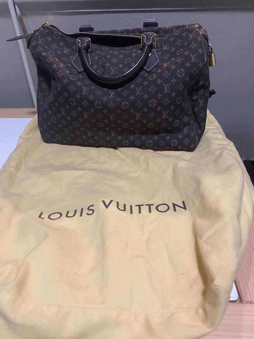 Louis Vuitton Mini Lin bag, Women's Fashion, Bags & Wallets, Tote Bags