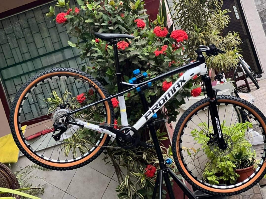 promax alloy