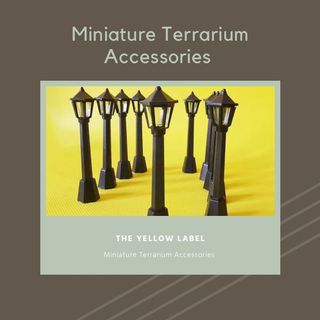 (Category: ) located in . Submitted by theyellowlabel (Listing ID 1163554442, Image 1). Description: .