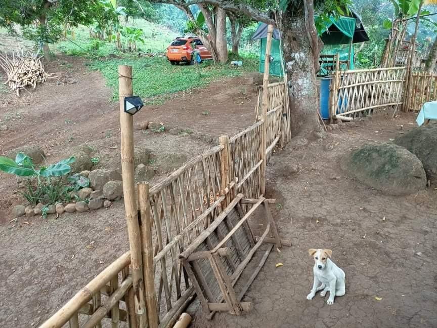 SANTIBAY FARM VILLAGE IN PILILLA, RIZAL, Property, For Sale, Lot on ...