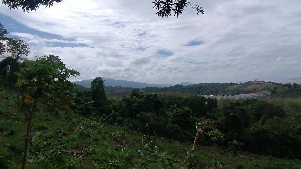 SANTIBAY FARM VILLAGE IN PILILLA, RIZAL, Property, For Sale, Lot on ...