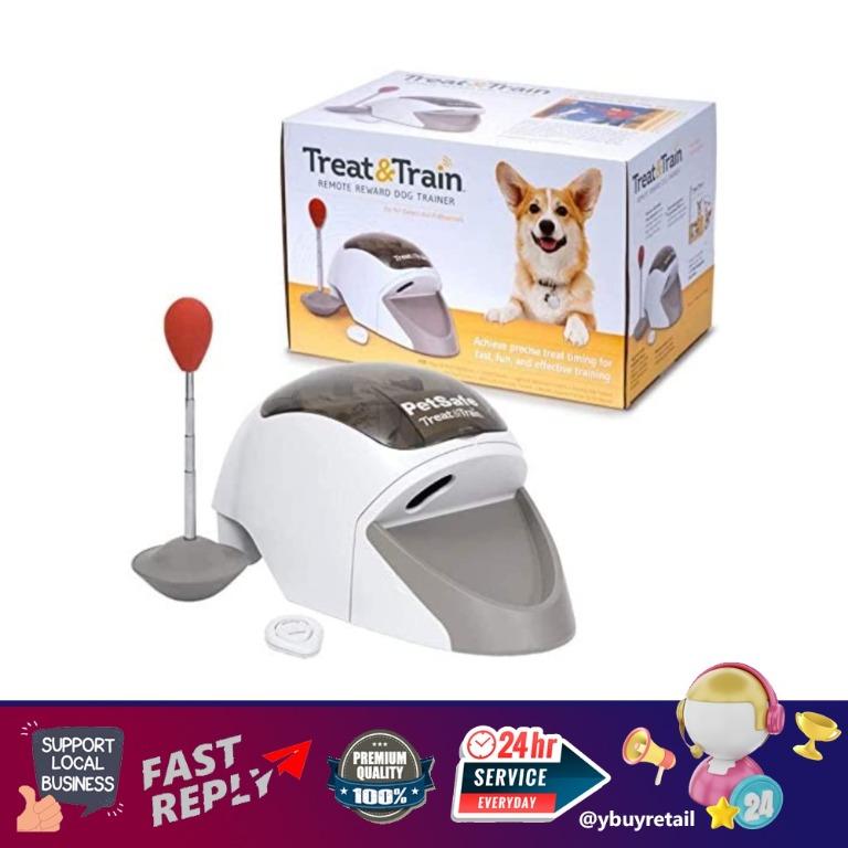 Manners minder for dogs clearance